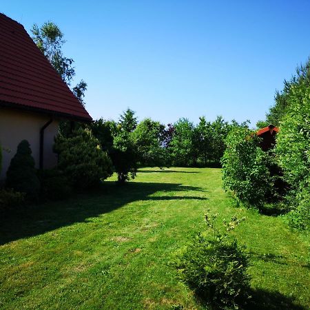 Villa Ustron Dom Aneta Esterno foto